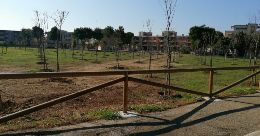 Progetto “Green Pass”: piantumazione di alberi in due zone periferiche cittadine